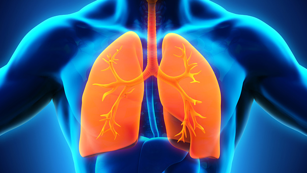 Fix-Your-Breathing-Build-More-Muscle